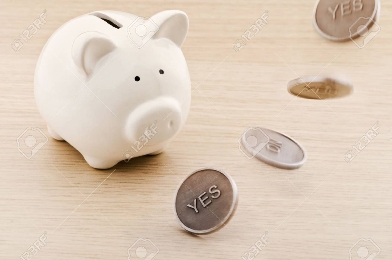 bank piggy bank
