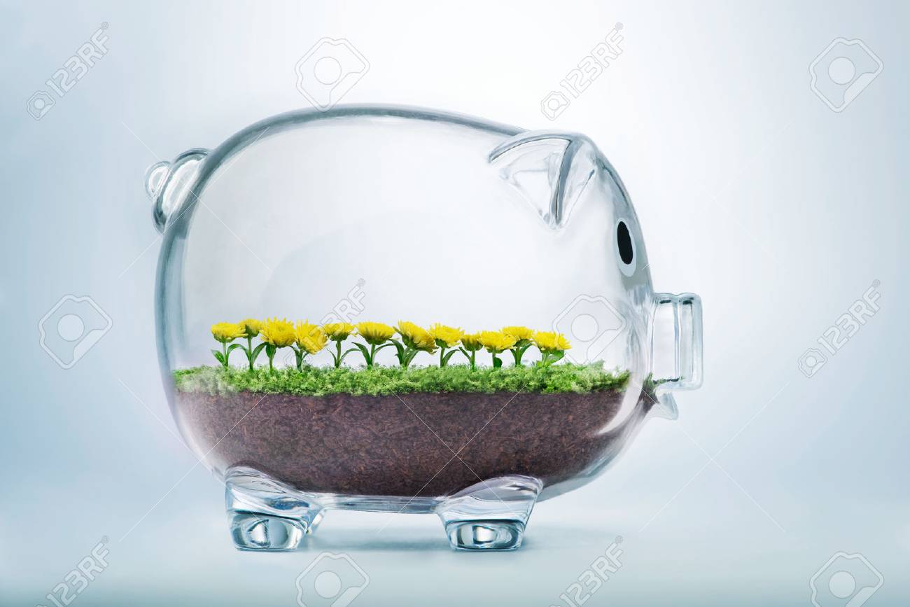 Prosperity concept with grass and flowers growing inside transparent piggy bank - 52519581 Prosperity concept with grass and flowers growing inside transparent piggy bank - 52519581