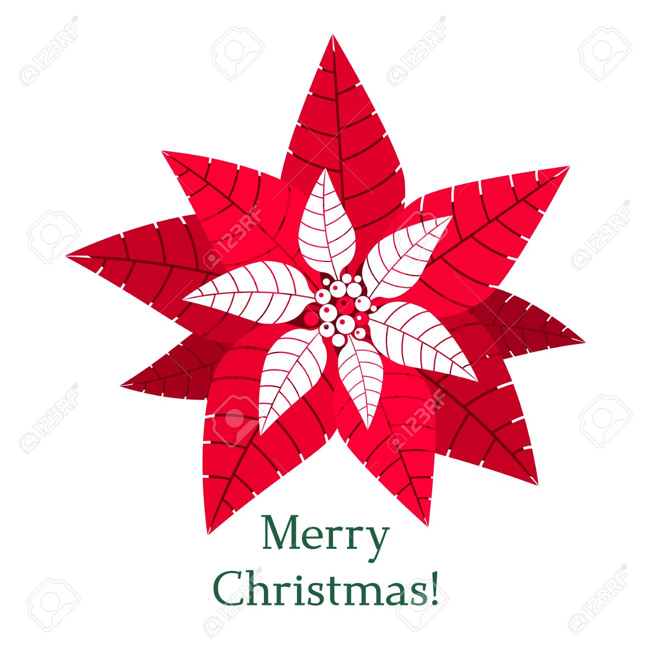 painted christmas flower poinsettia greeting card or banner poinsettia card