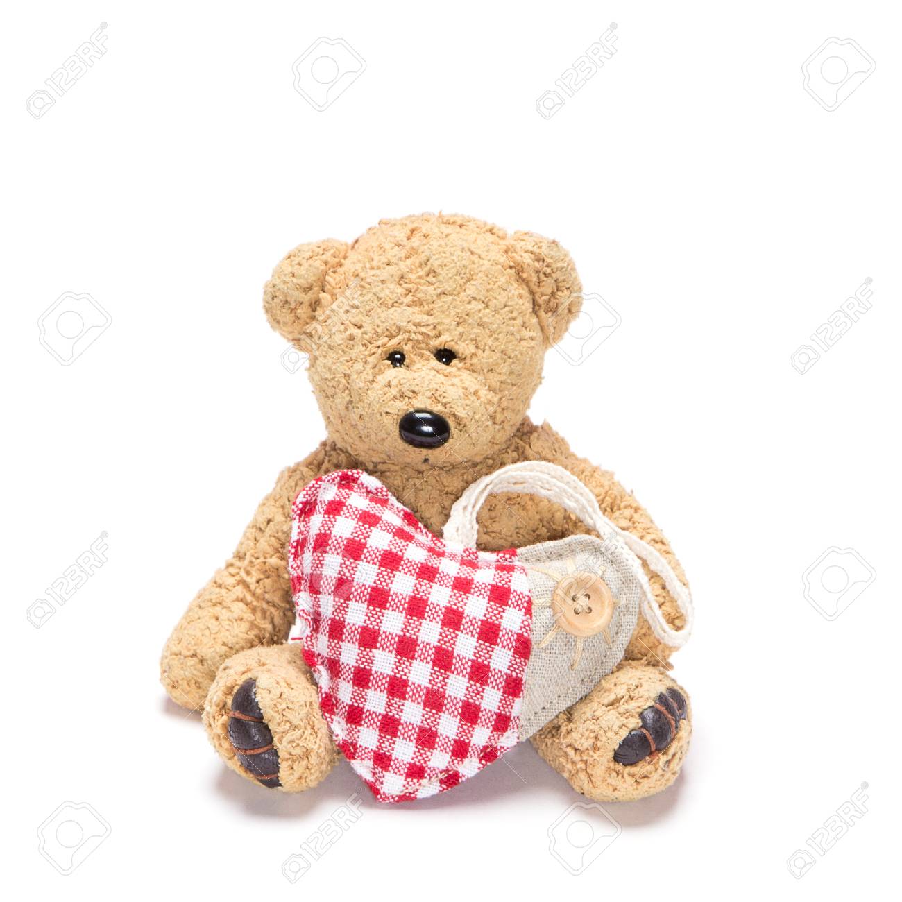 paws teddy bear