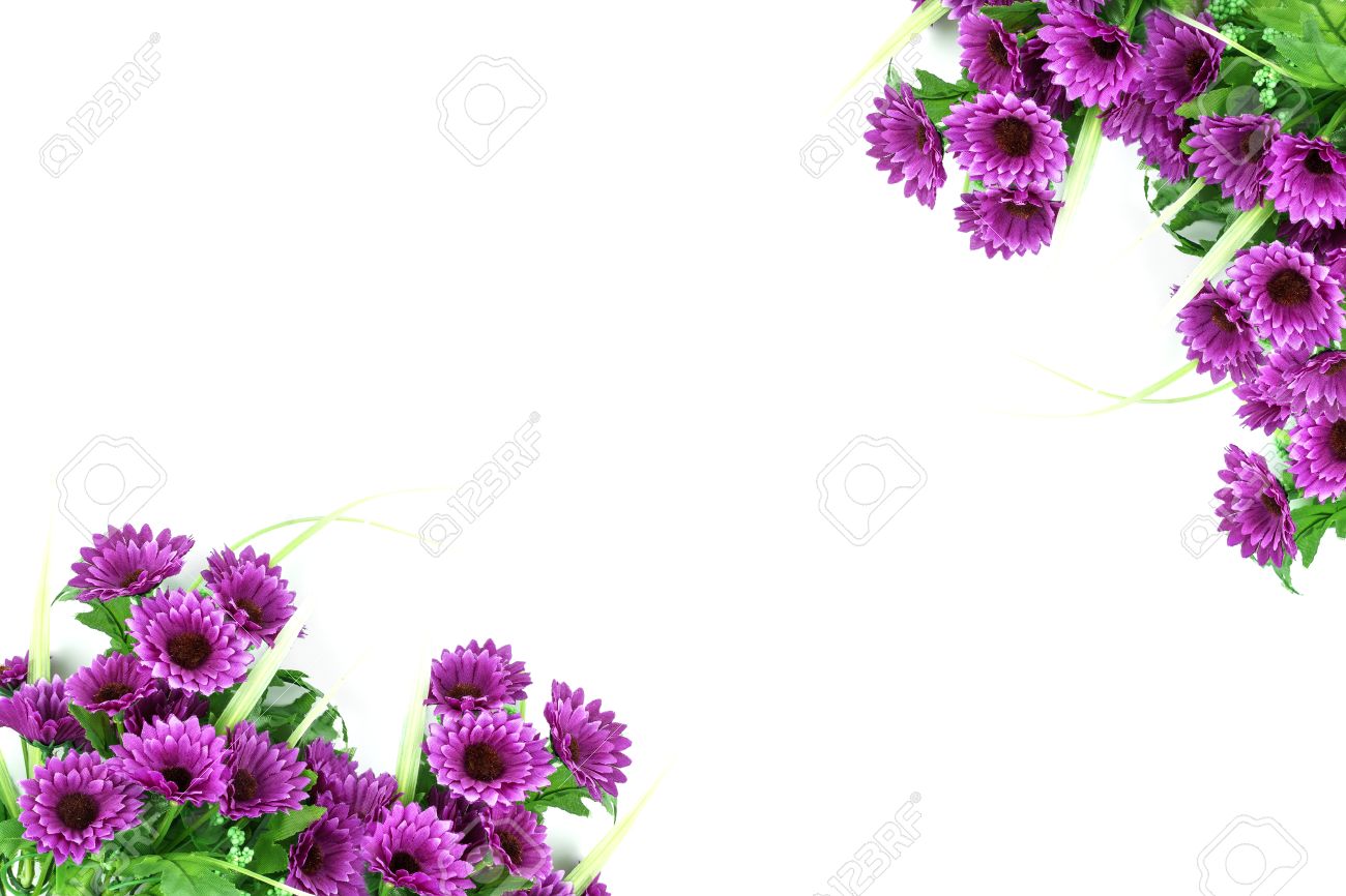 purple flower wallpaper border corner background isolated on stock flower wall paper border