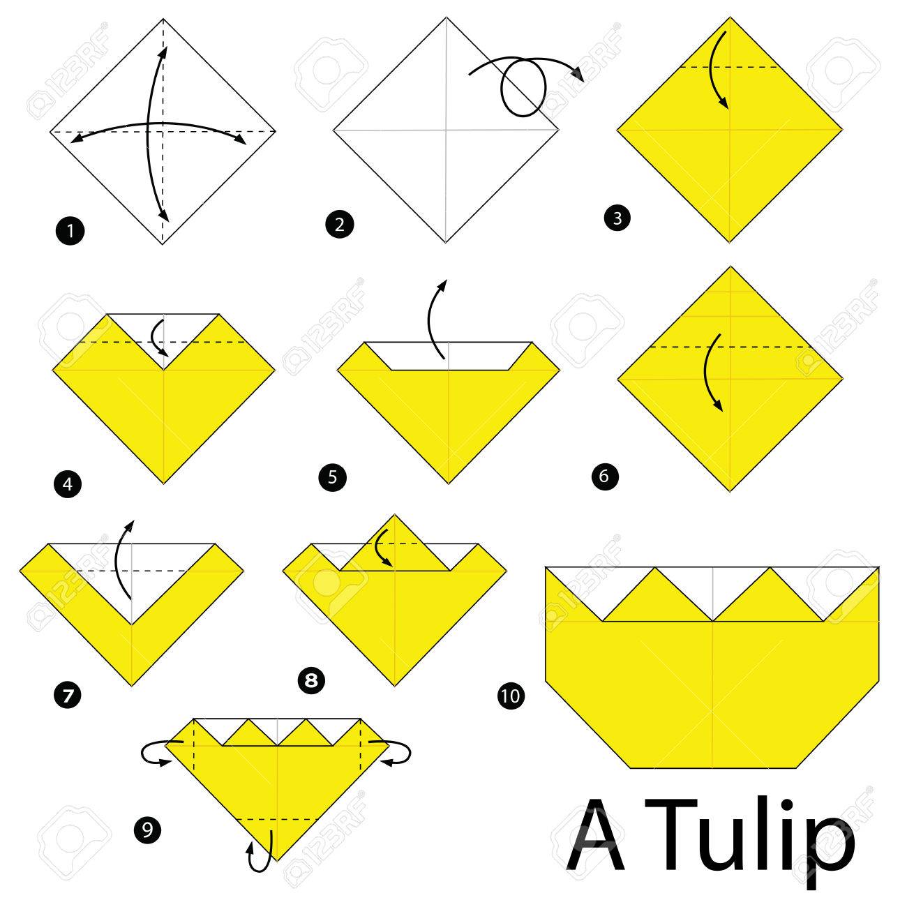 Step By Step Instructions How To Make Origami A Tulip