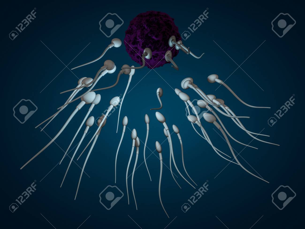 精子と卵細胞顕微鏡ビュー 3 D レンダリング の写真素材 画像素材 Image