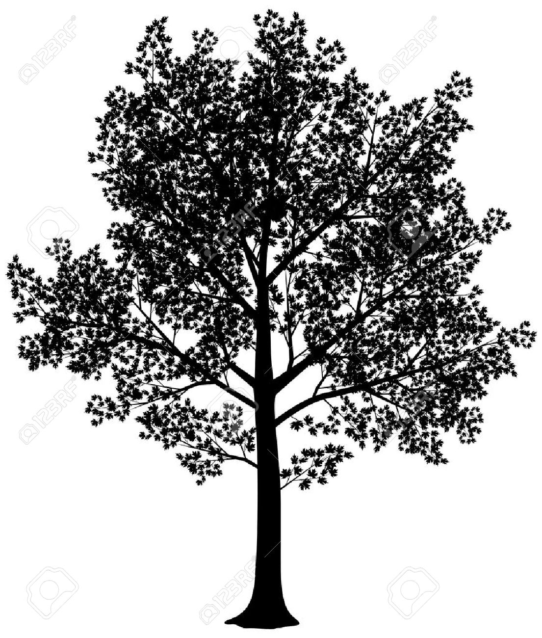 Vector Black And White Maple Silhouette Vector Illustration Royalty Free Cliparts Vectors And Stock Illustration Image Vector Black And White Maple Silhouette Vector Illustration Royalty Free Cliparts Vectors And Stock Illustration Image