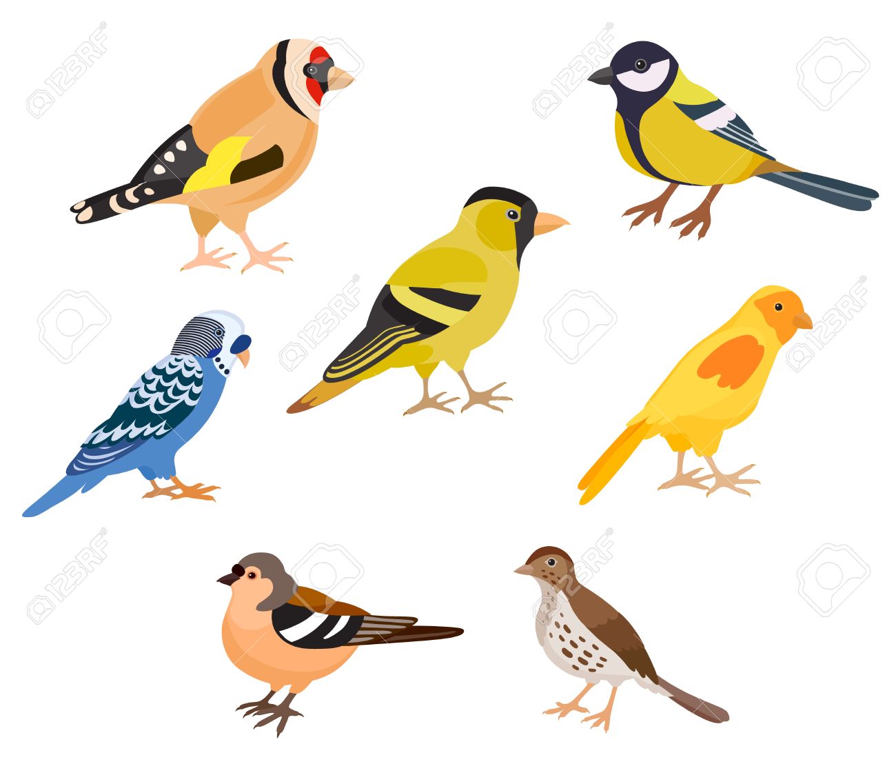 A Set Of Colorful Birds Isolated Vector Illustration Goldfinch Royalty Free Cliparts Vectors And Stock Illustration Image 69680851