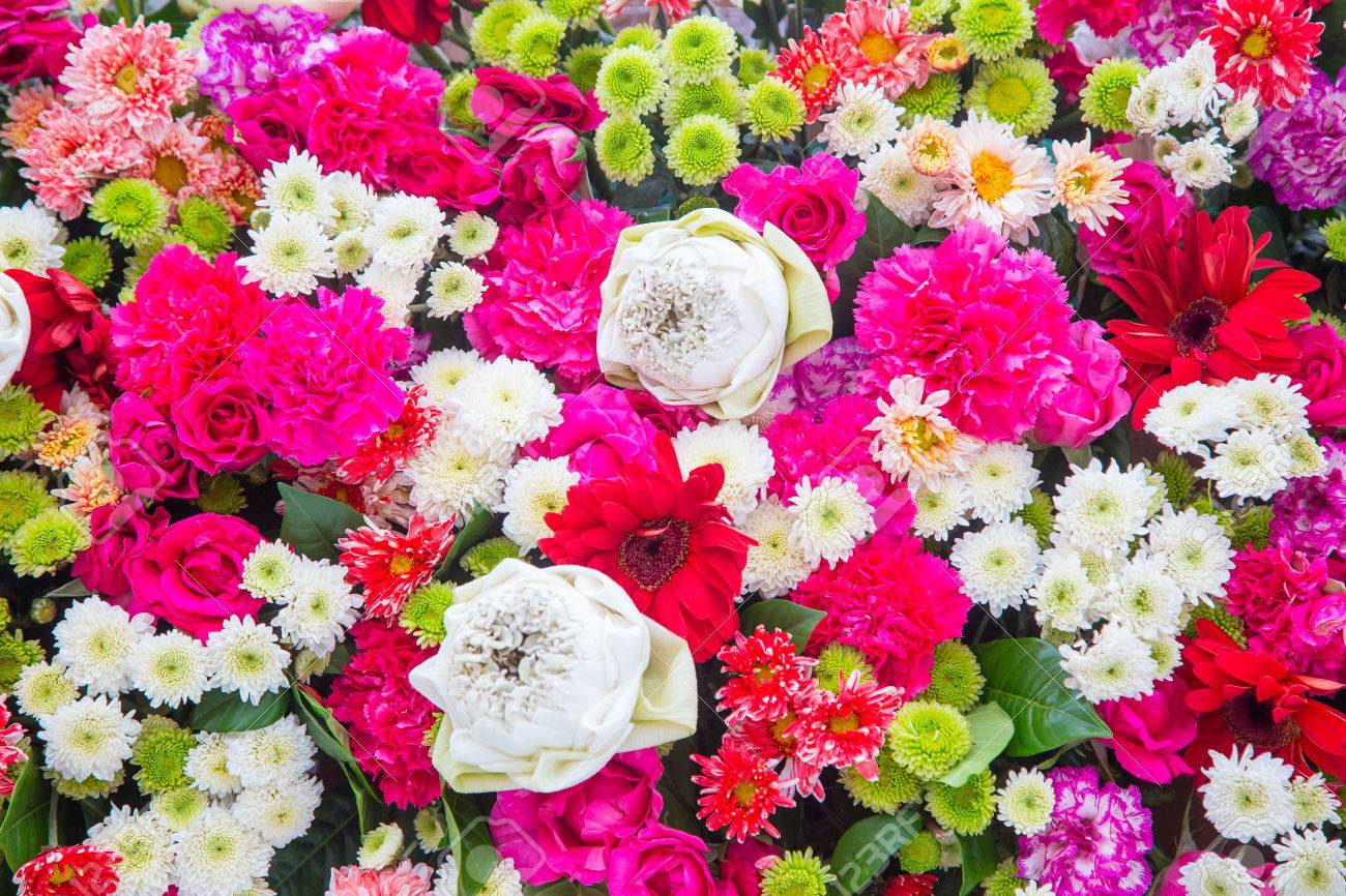 bouquets flower colorful background