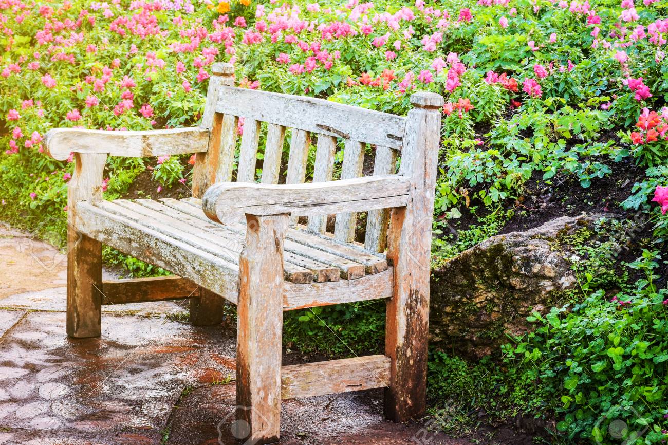 Banc Vintage Dans Un Jardin Botanique De Style Anglais Toucher De La Lumiere Du Matin Dans Le Jardin De Fleurs Banque D Images Et Photos Libres De Droits Image 66166578