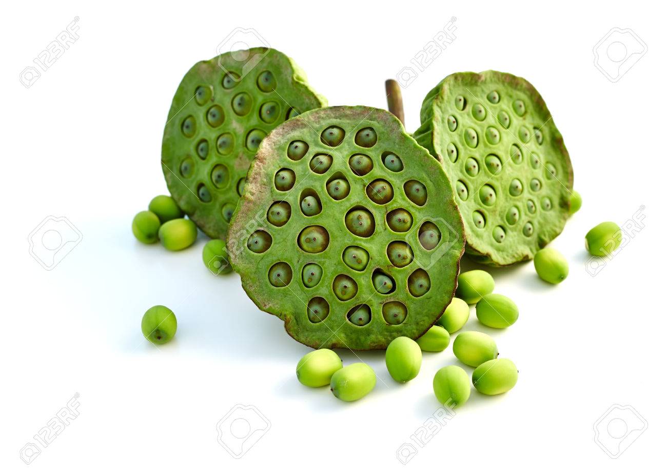 lotus seeds close up on white background. minimal - 85400038 lotus seeds close up on white background. minimal - 85400038