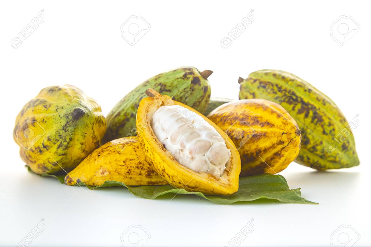Improve Your cocoa beans In 4 Days