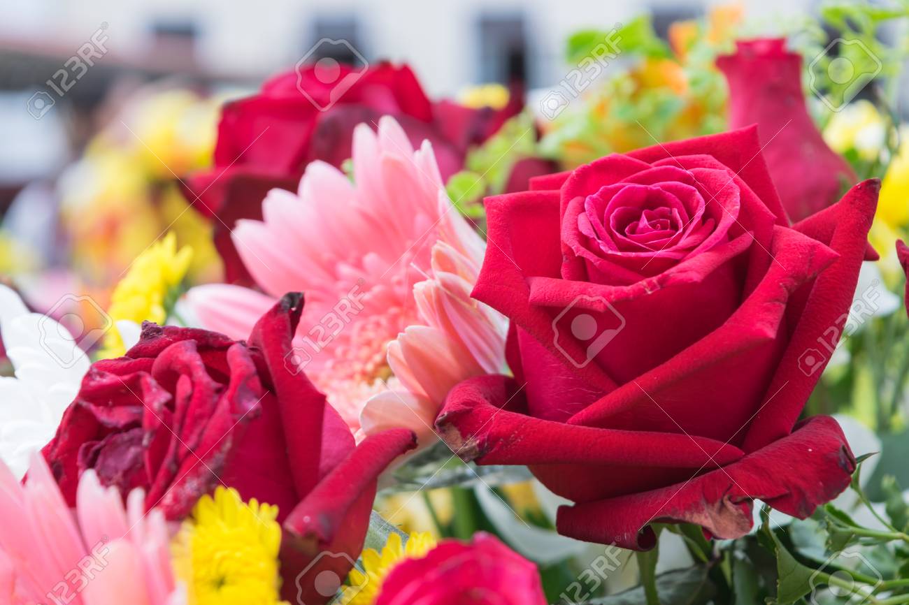 Beautiful Red Rose Flower In A Bouquet, Naturally Beautiful ...