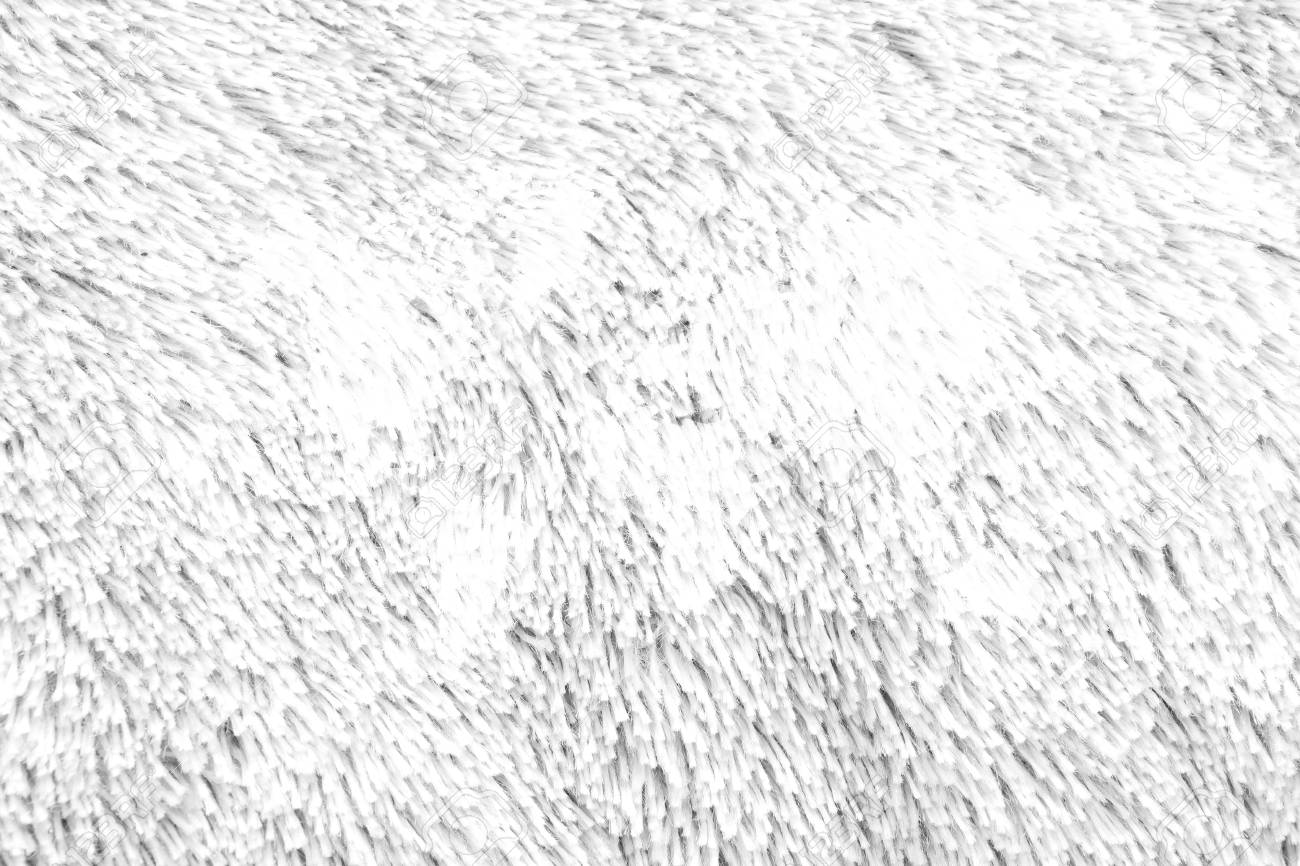 Carpet Texture Surface White Color Use For Background With World Map Stock  Photo, Picture and Royalty Free Image. Image 72018796.
