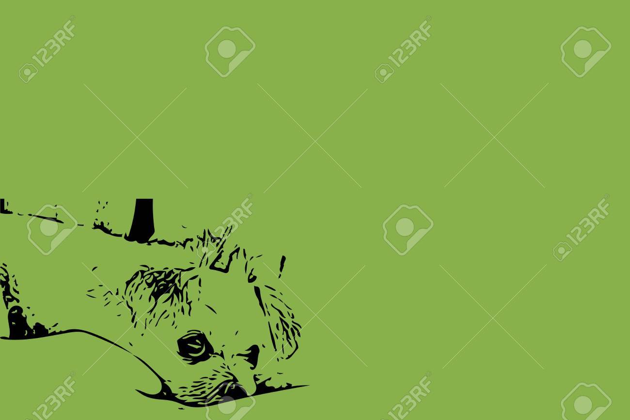 かわいい睡眠ペットでベッドの上にあるので 甘い犬のデッサンし 緑色の背景のアートワーク テンプレートまたはスライド ショーのコピー領域の使用に関する概念をリラックス の写真素材 画像素材 Image