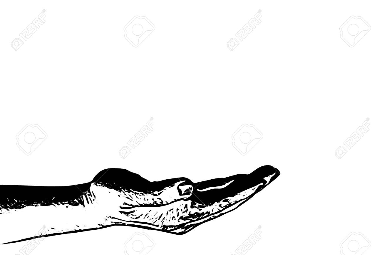 デッサンに保持する開いた手のお手伝いコピー領域の使用と白い背景のアートワーク テンプレートまたはスライド ショーのコンセプトを提供 の写真素材 画像素材 Image