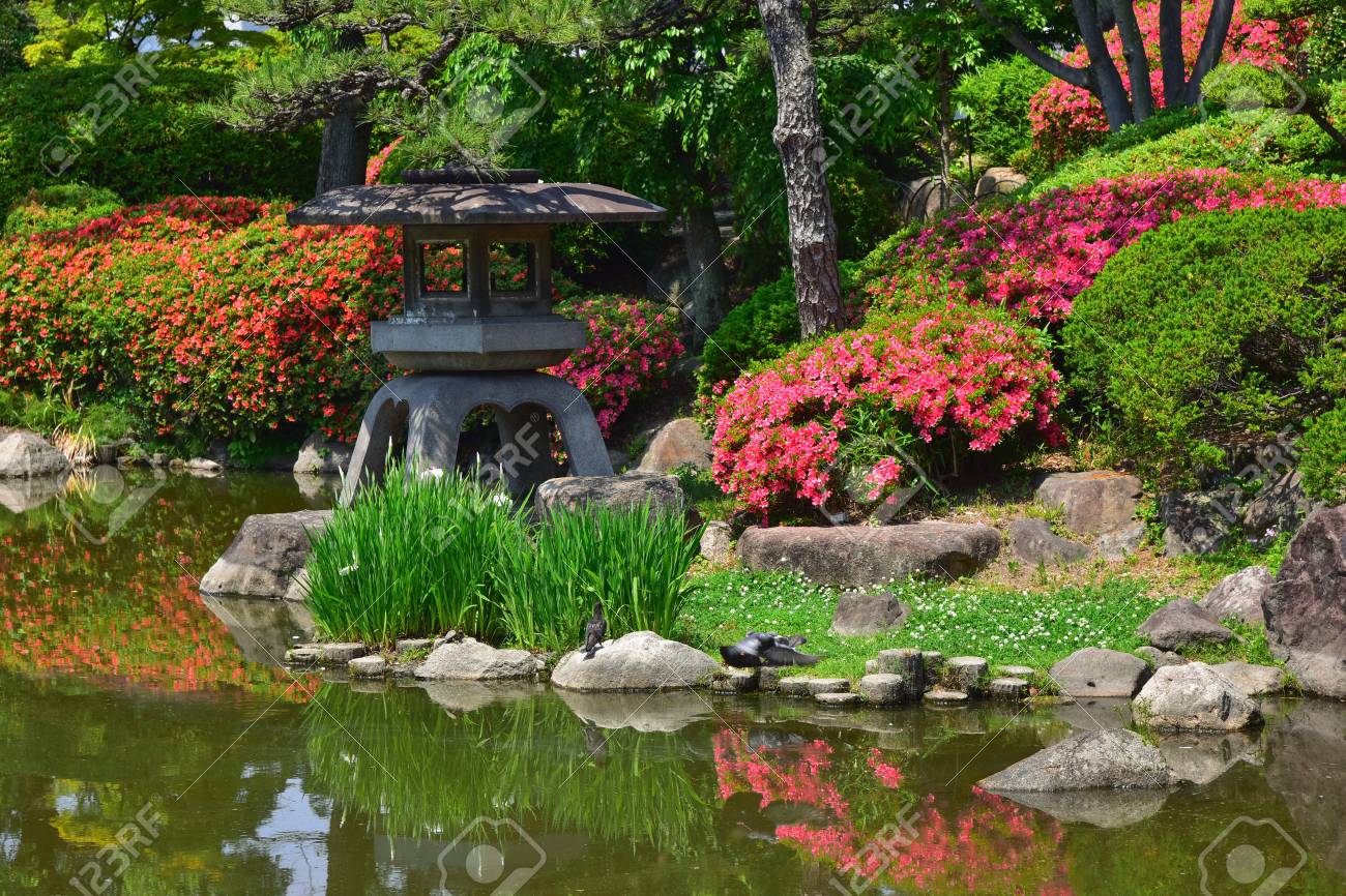 鳥のいる日本庭園 の写真素材 画像素材 Image 鳥のいる日本庭園 の写真素材 画像素材 Image