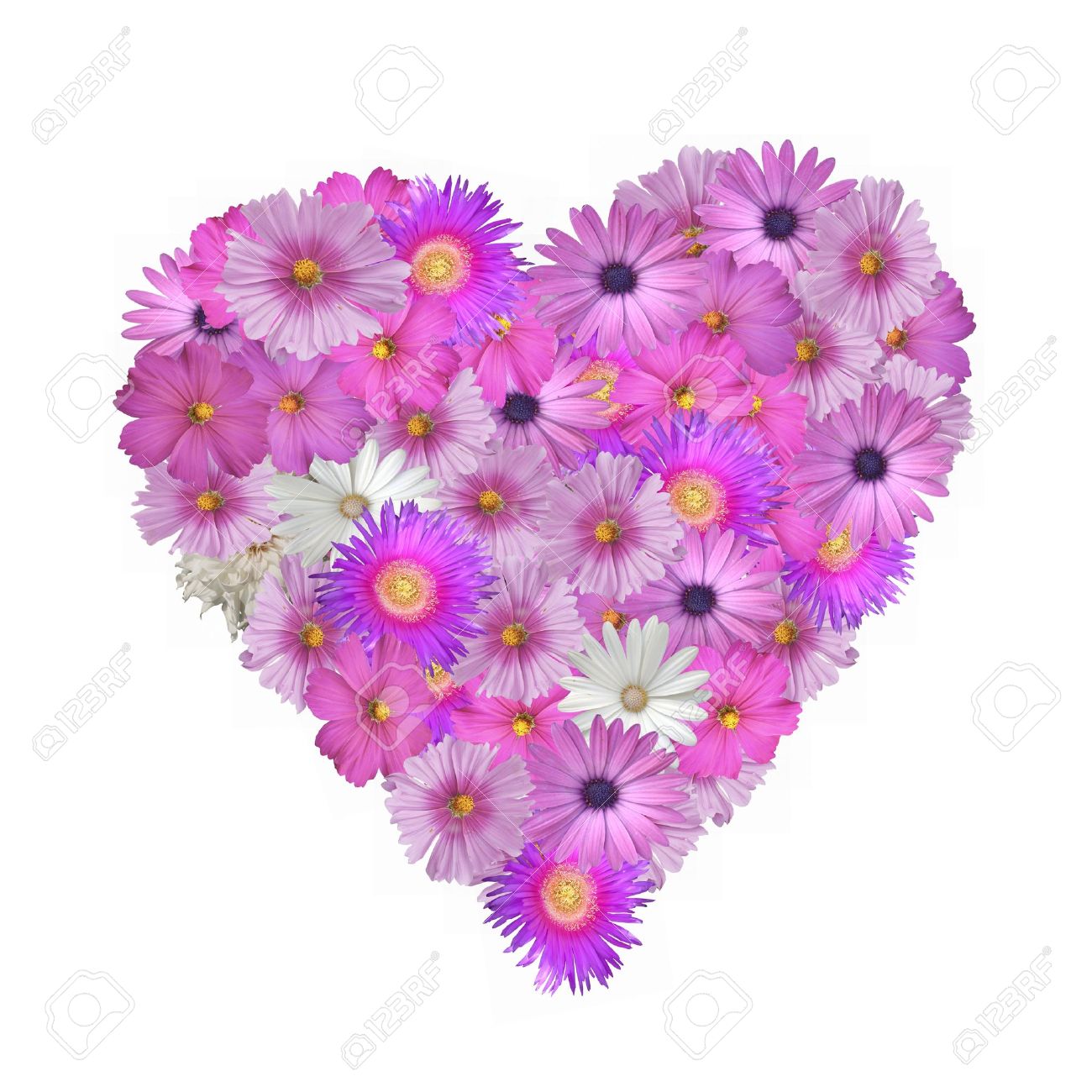 pretty pink flowers in