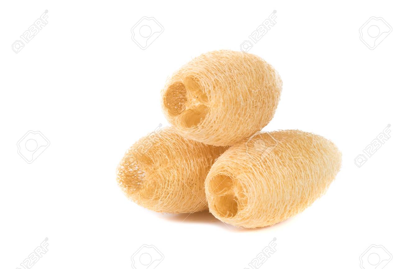 ヘチマ スポンジ