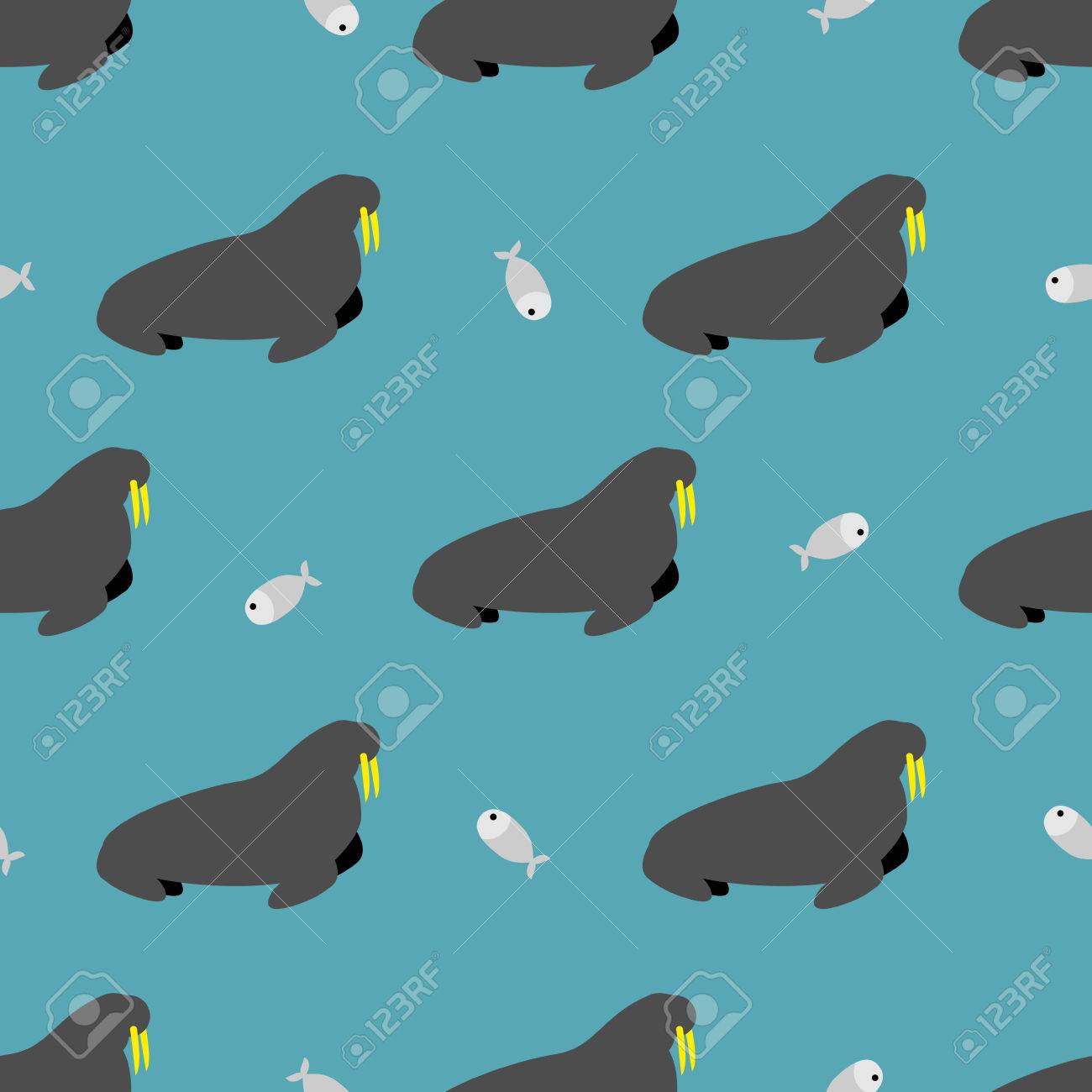 シールや魚のシームレスなパターン 大きな牙とセイウチ 北極の動物布飾り のイラスト素材 ベクタ Image シールや魚のシームレスなパターン 大きな牙とセイウチ 北極の動物布飾り のイラスト素材 ベクタ Image