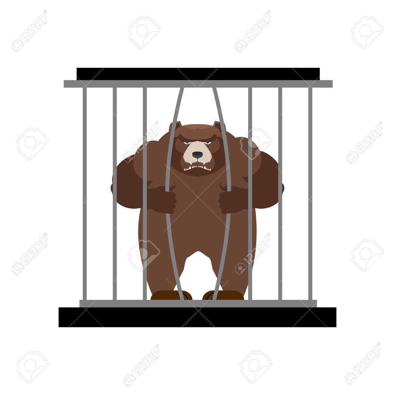 動物園の檻の中のクマします 捕われの身で強力な怖いの野生動物 大きなグリズリーがバーの後ろに座っています 動物はケージのうち取得したいです のイラスト素材 ベクタ Image