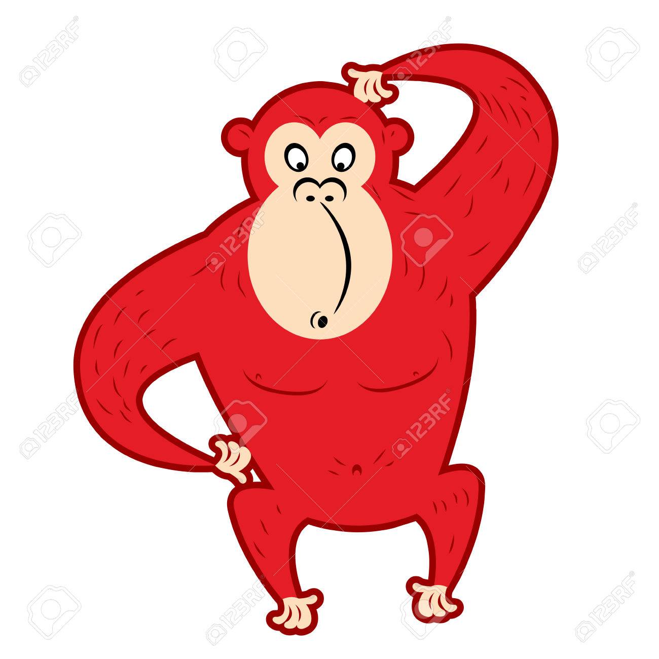 Red Uberrascht Affen Die Seinen Kopf Kratzen Netter Roter Primat Ist Symbol Des Neuen Jahres Auf Chinesischen Kalender Lustiger Gorilla Wildes Tier Dschungel Lizenzfrei Nutzbare Vektorgrafiken Clip Arts Illustrationen Image 48639011