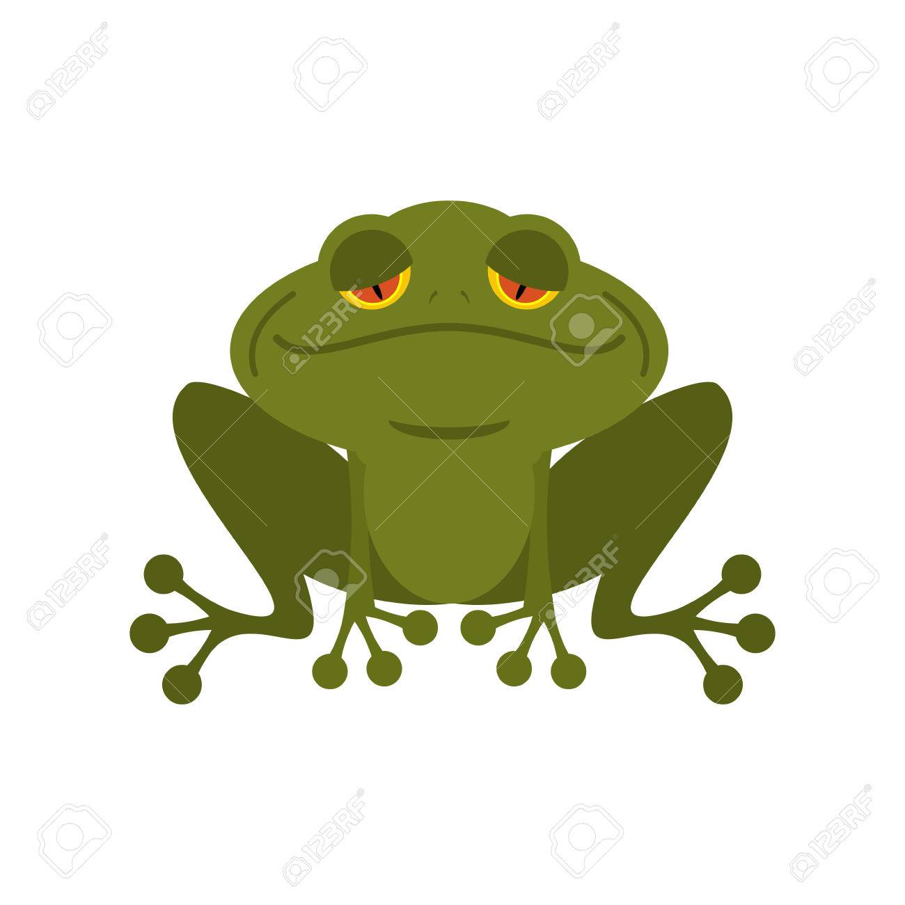 カエル 緑色の憂鬱なヒキガエル 悲しそうな目を持つ淡水かわいい マーシュ動物 のイラスト素材 ベクタ Image