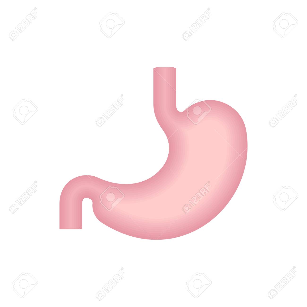 胃が孤立したベリーアイコン 内臓のサインベクトルイラストのイラスト