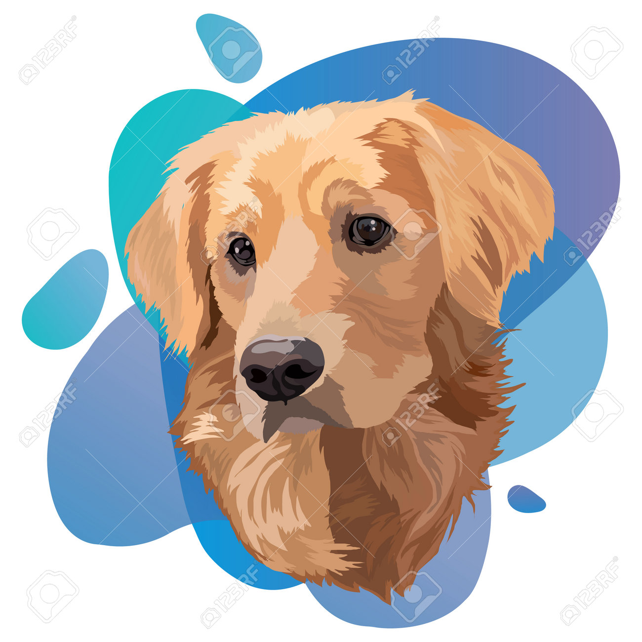 Portrait Of Dog.Golden Labrador Retriever Head Vector Illustration.Trend  Royalty Free SVG, Cliparts, Vectors, and Stock Illustration. Image  160506863., image size:1300x1300