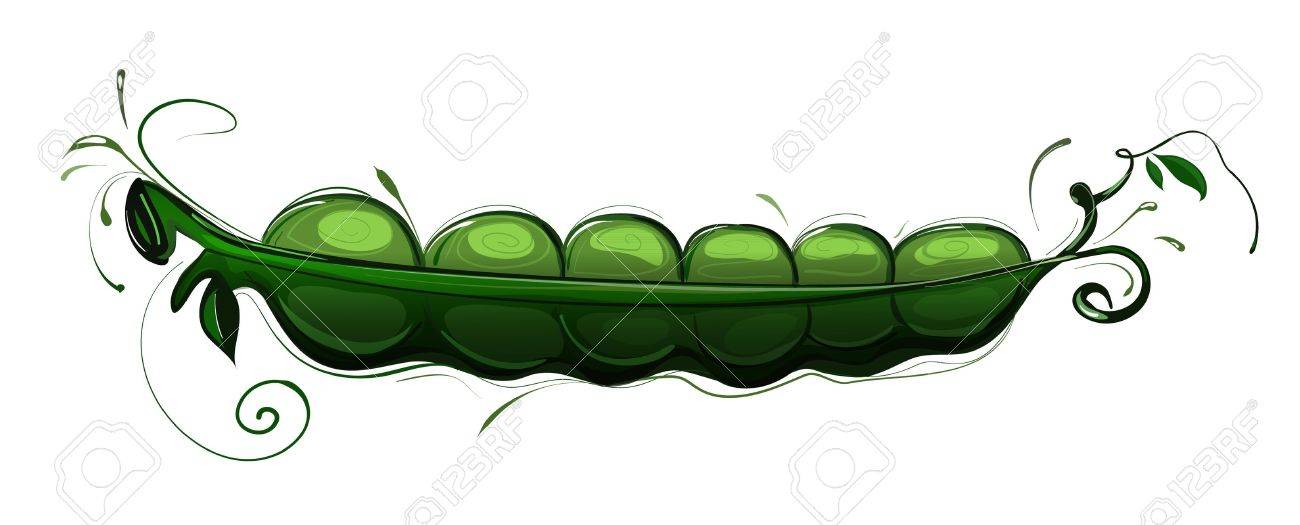 エンドウ豆ポッド Illustration Sweet エンドウ豆のイラスト スケッチ風のスタイル のイラスト素材 ベクタ Image