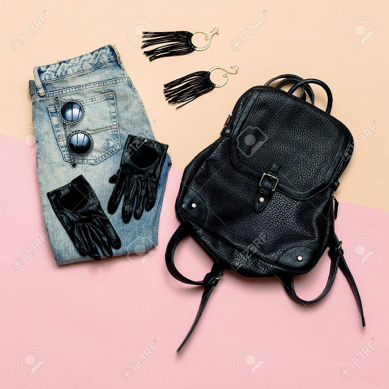 stylish day backpack