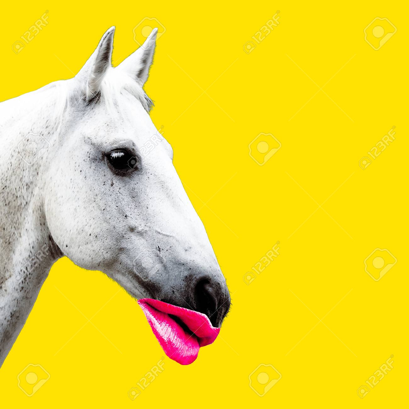 Fashion collage minimal. Photo manipulation. Horse and red lips. Funny art. - 87609920 Fashion collage minimal. Photo manipulation. Horse and red lips. Funny art. - 87609920