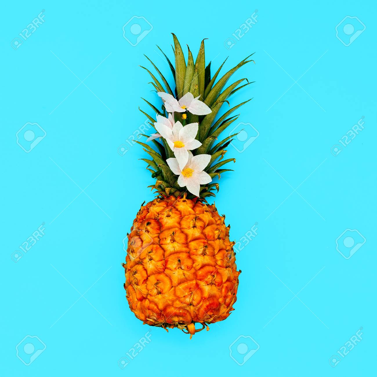 tropical beach mood. minimal style pineapple art stock photo, picture and royalty free image. image 87610004. tropical beach mood. minimal