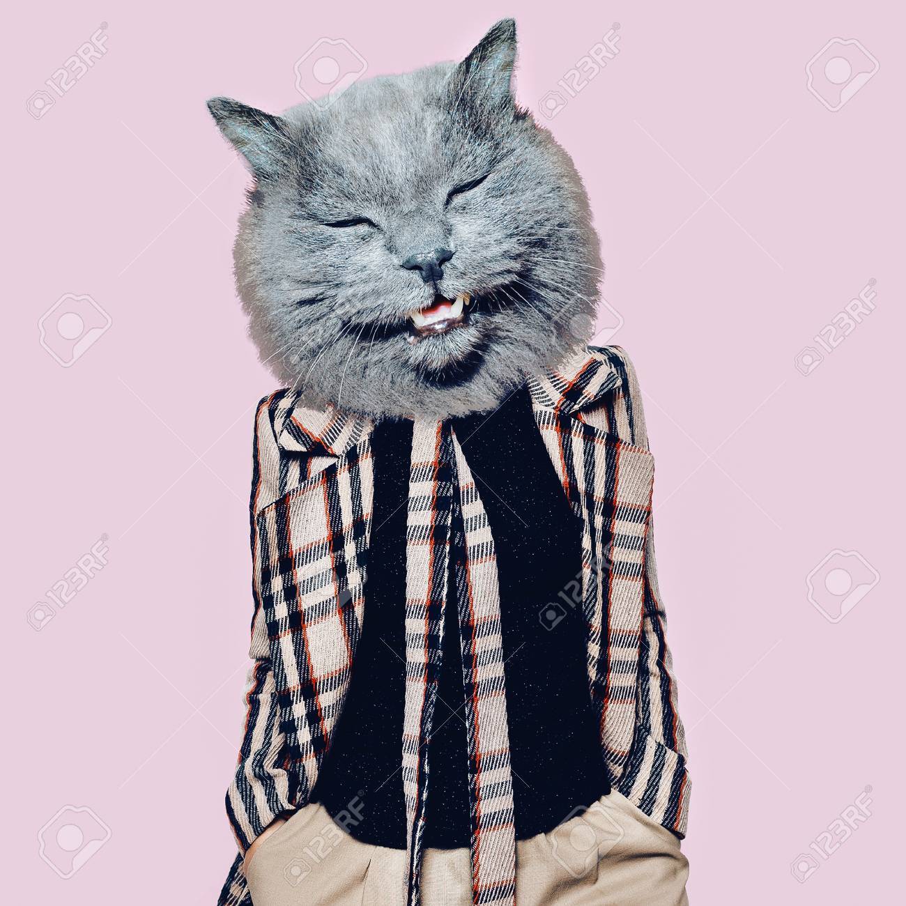 Hooligan Cat in the checkered coat Art collage. Minimal fun - 87575521 Hooligan Cat in the checkered coat Art collage. Minimal fun - 87575521