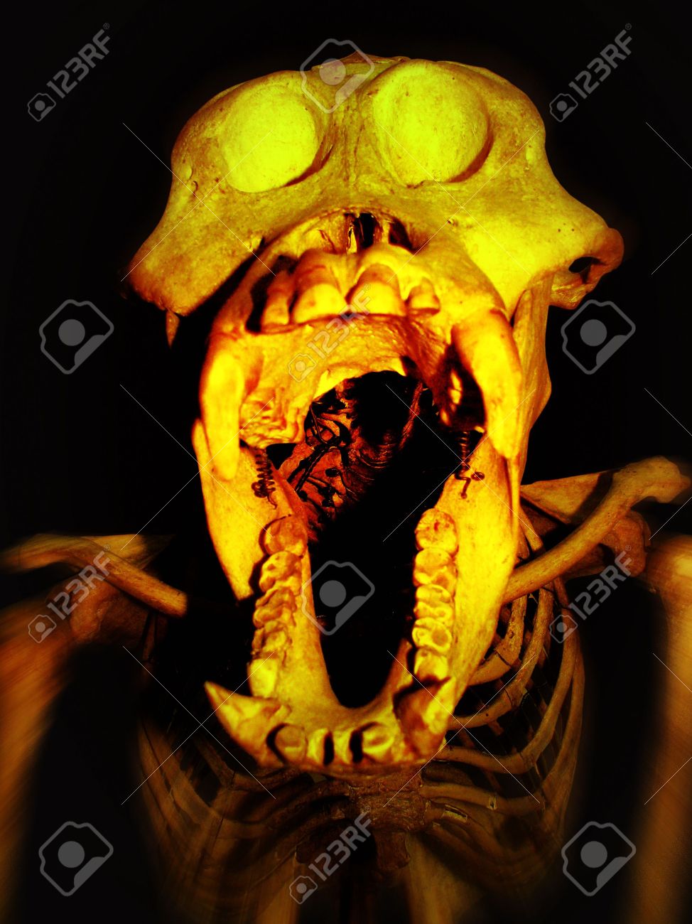 恐ろしい猿スケルトン悪魔の攻撃 の写真素材 画像素材 Image