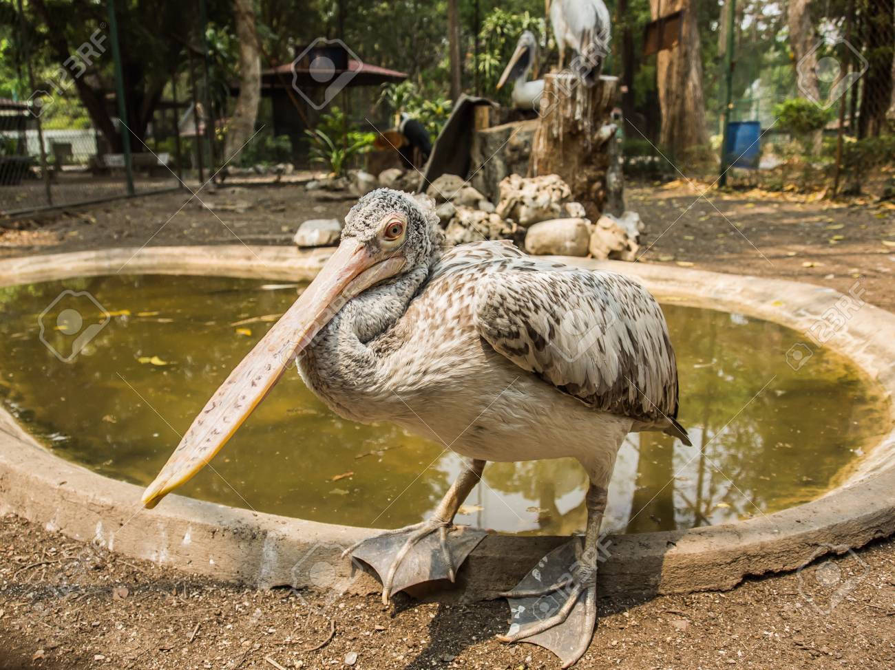 etiam-dictum-ipsum-a-felis