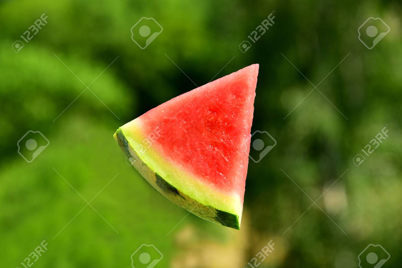 watermelon slice float