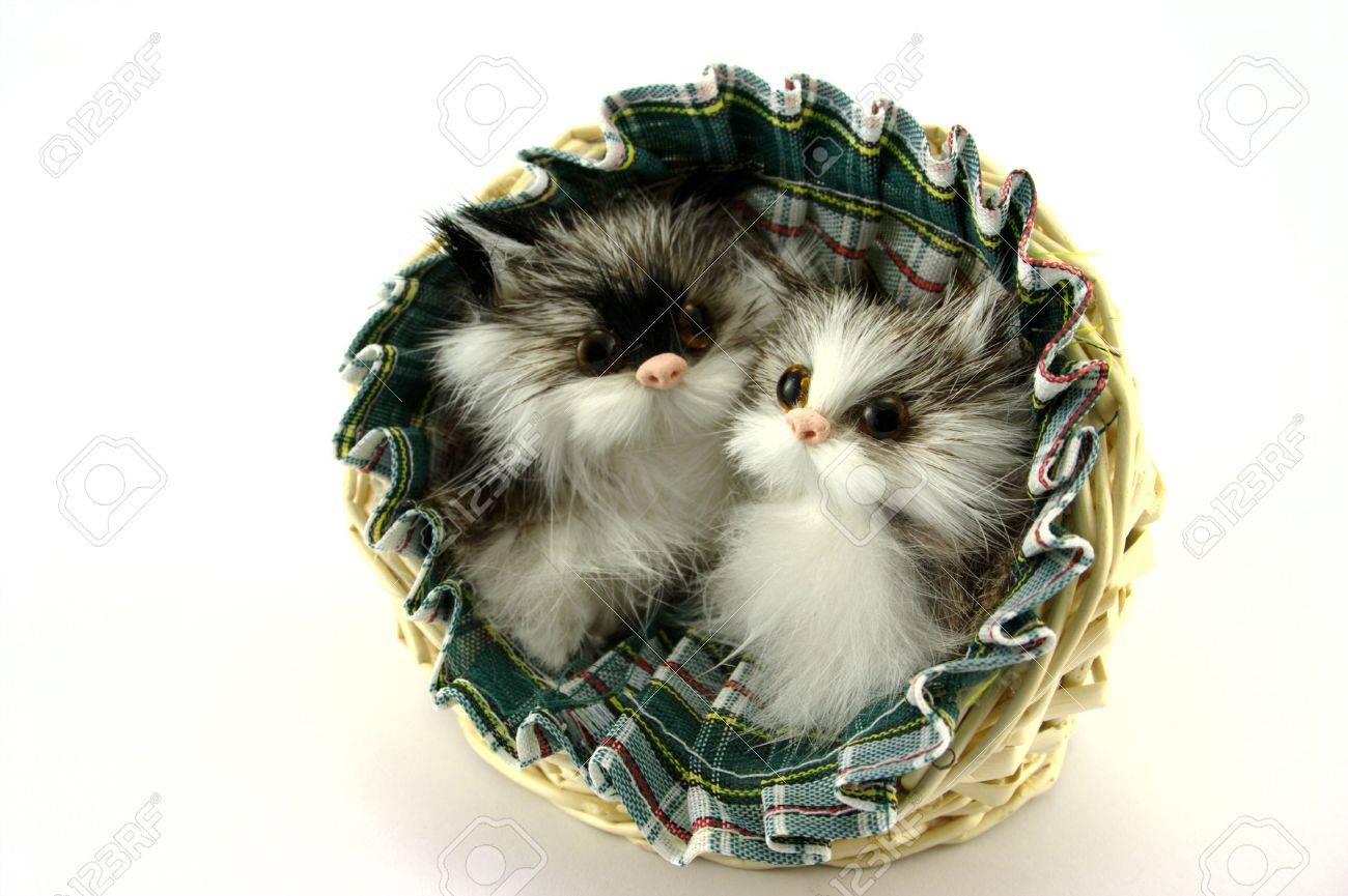 bravecto flea tablets