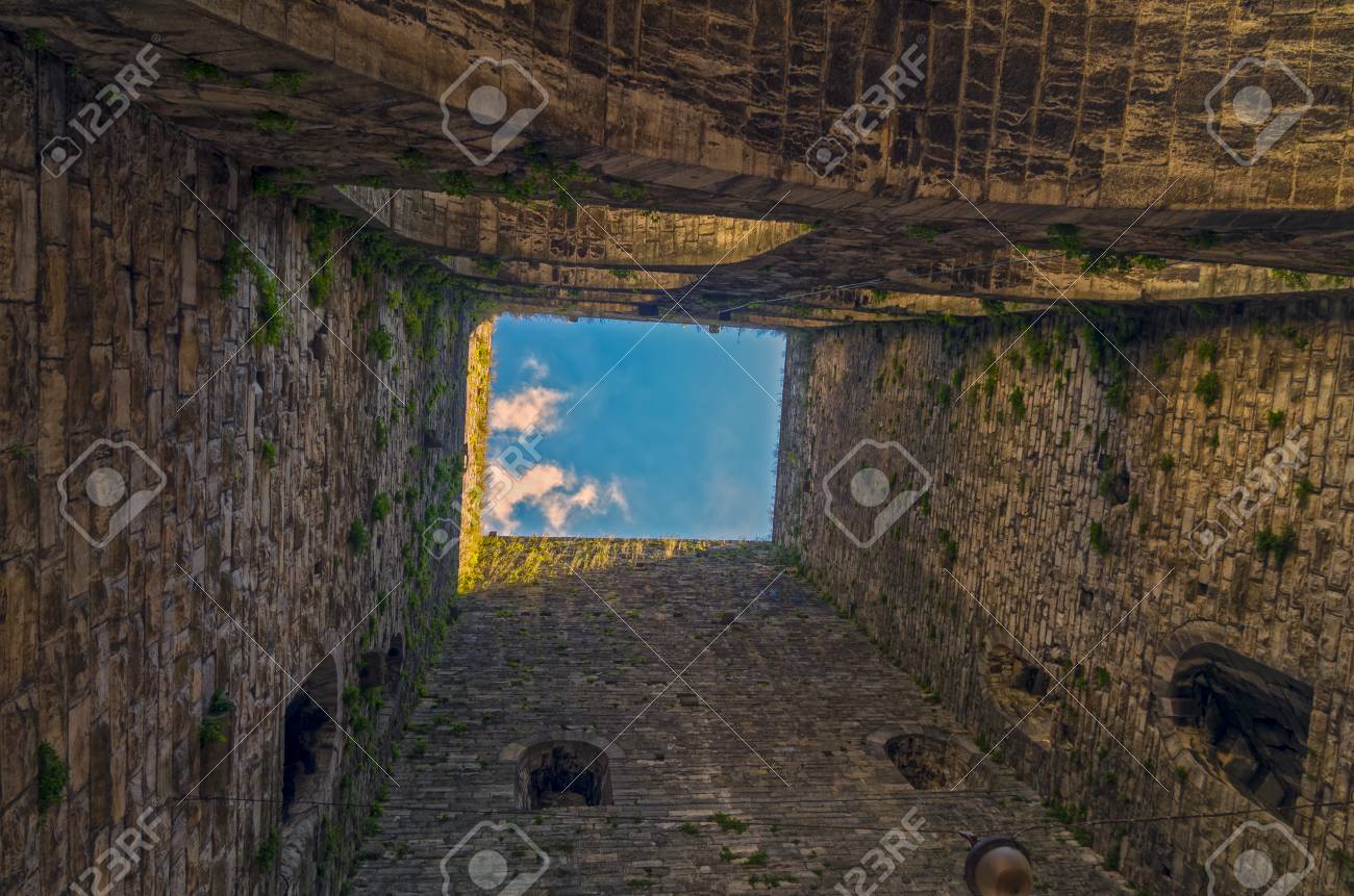 etiam-dictum-ipsum-a-felis