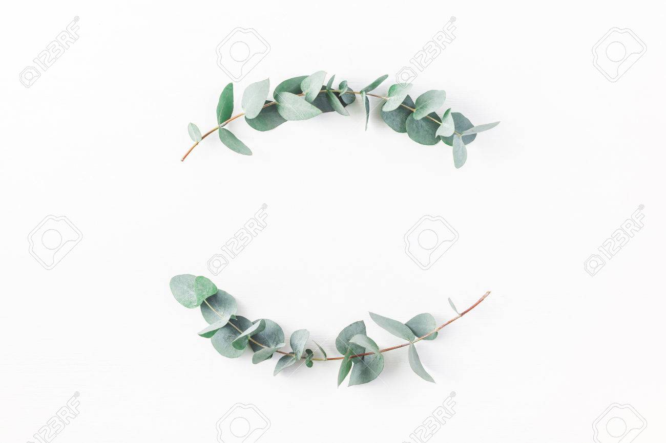 Eucalyptus on white background. Wreath made of eucalyptus branches. Flat lay, top view, copy space - 82123429 Eucalyptus on white background. Wreath made of eucalyptus branches. Flat lay, top view, copy space - 82123429
