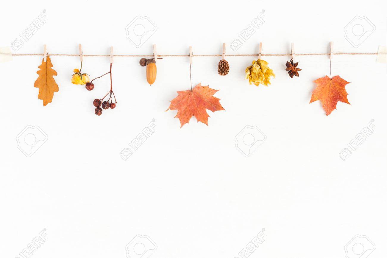 Autumn composition. Autumn flowers and leaves, acorn, pine cone, anise star. Flat lay, top view, copy space - 85322599 Autumn composition. Autumn flowers and leaves, acorn, pine cone, anise star. Flat lay, top view, copy space - 85322599