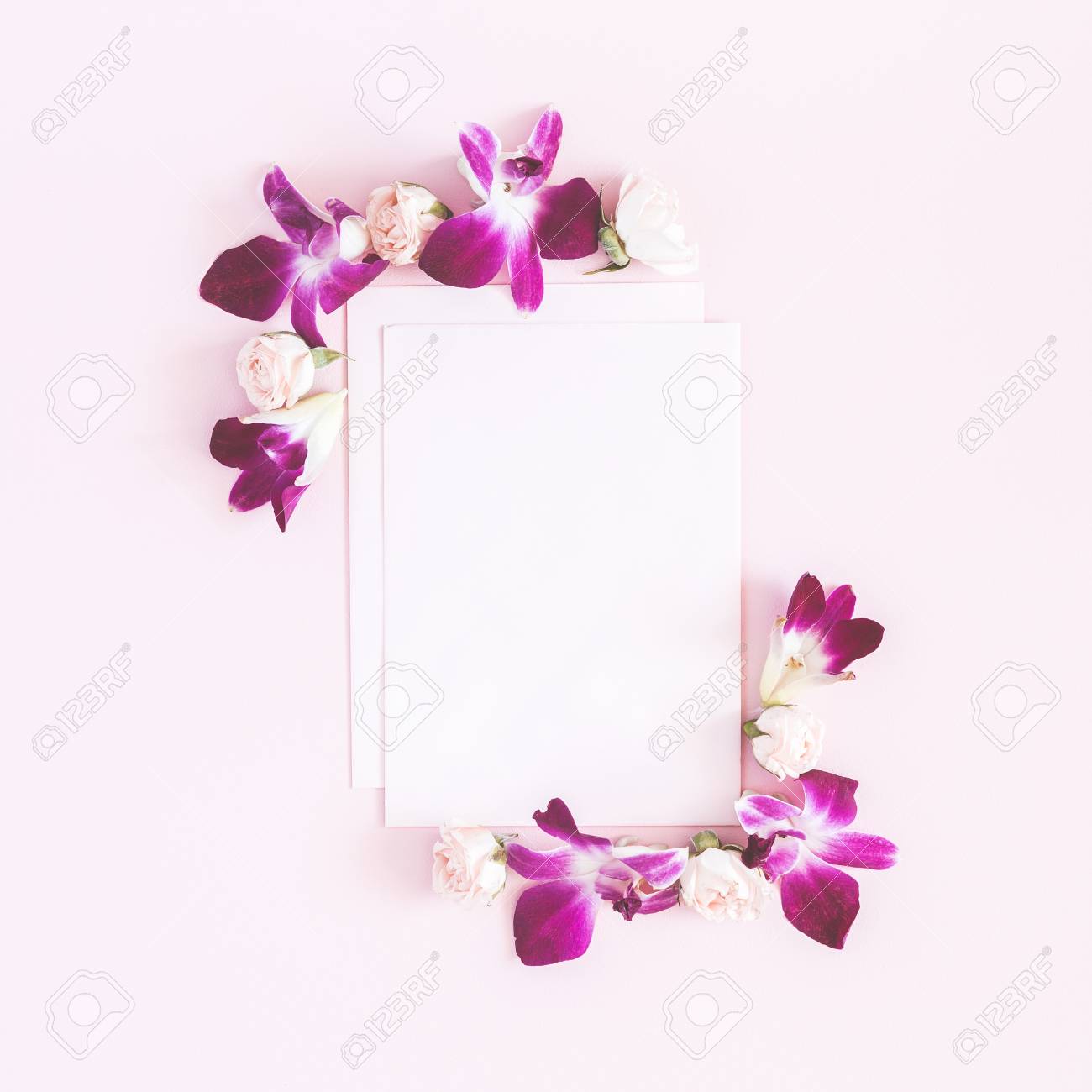 flowers composition paper blank orchid flowers on pastel pink paper orchid flower