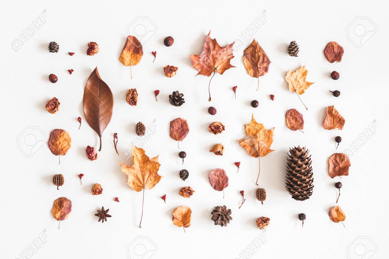 Autumn composition. Pattern made of flowers, dried leaves on white background. Autumn, fall concept. Flat lay, top view - 106707529 Autumn composition. Pattern made of flowers, dried leaves on white background. Autumn, fall concept. Flat lay, top view - 106707529