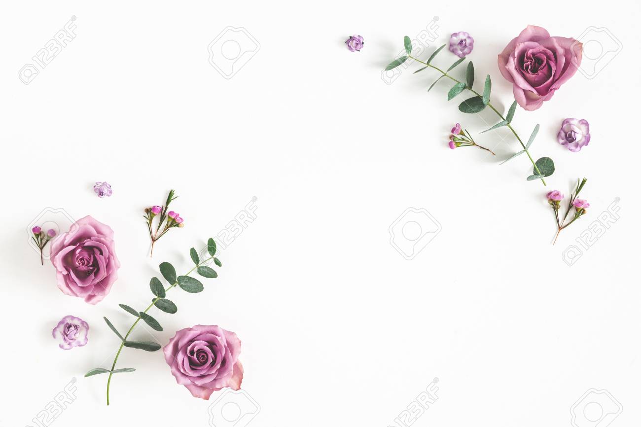 Flowers composition. Frame made of eucalyptus branches and rose flowers on white background. Flat lay, top view, copy space - 118932408 Flowers composition. Frame made of eucalyptus branches and rose flowers on white background. Flat lay, top view, copy space - 118932408