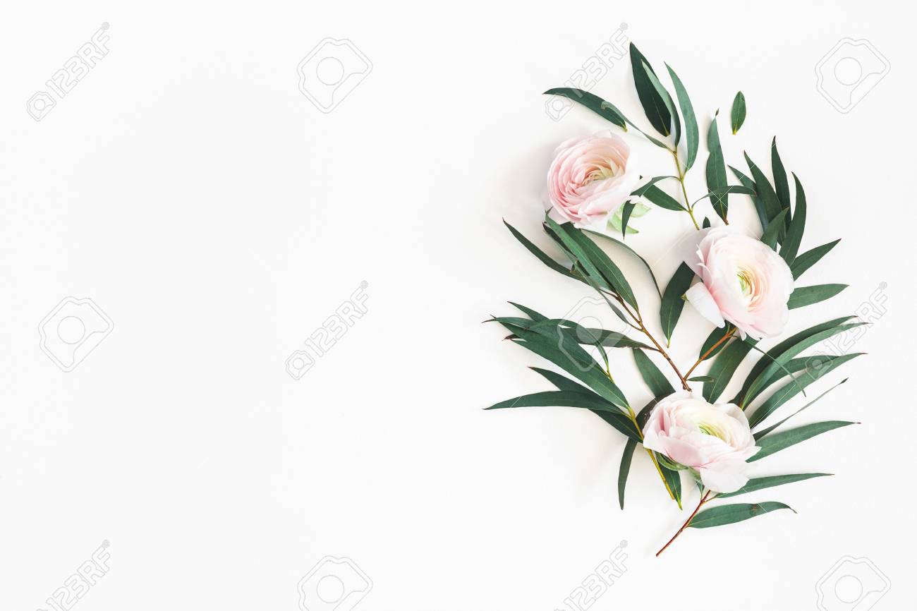 Flowers composition. Pink flowers and eucalyptus leaves on white background. Flat lay, top view, copy space - 119684301 Flowers composition. Pink flowers and eucalyptus leaves on white background. Flat lay, top view, copy space - 119684301