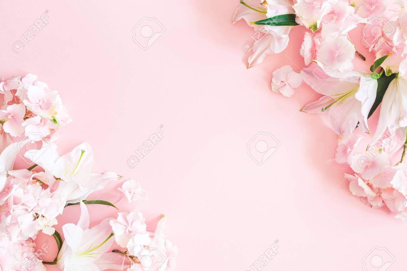 Flowers Composition. Pink And White Flowers On Pastel Pink Background. Flat  Lay, Top View, Copy Space Stock Photo, Picture And Royalty Free Image.  Image 125679073.