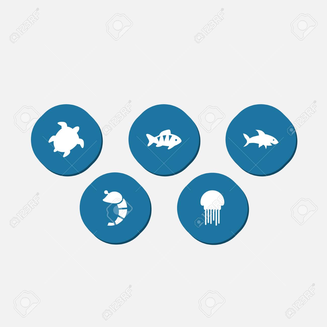 甲殻類 魚 カメ その他の要素 5 魚介類アイコン Set Collection のセットです のイラスト素材 ベクタ Image