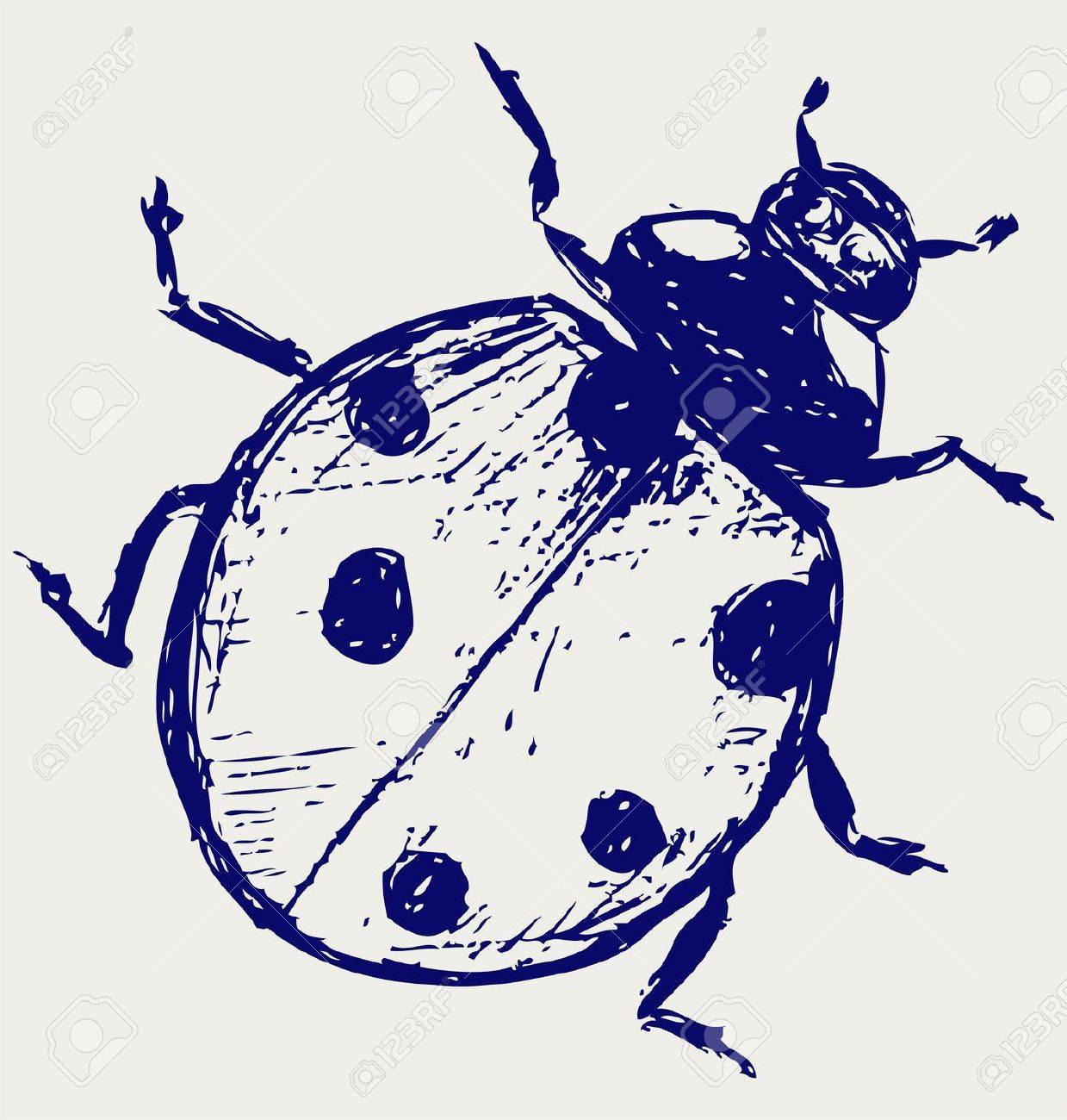 てんとう虫のスケッチ のイラスト素材 ベクタ Image てんとう虫のスケッチ のイラスト素材 ベクタ Image