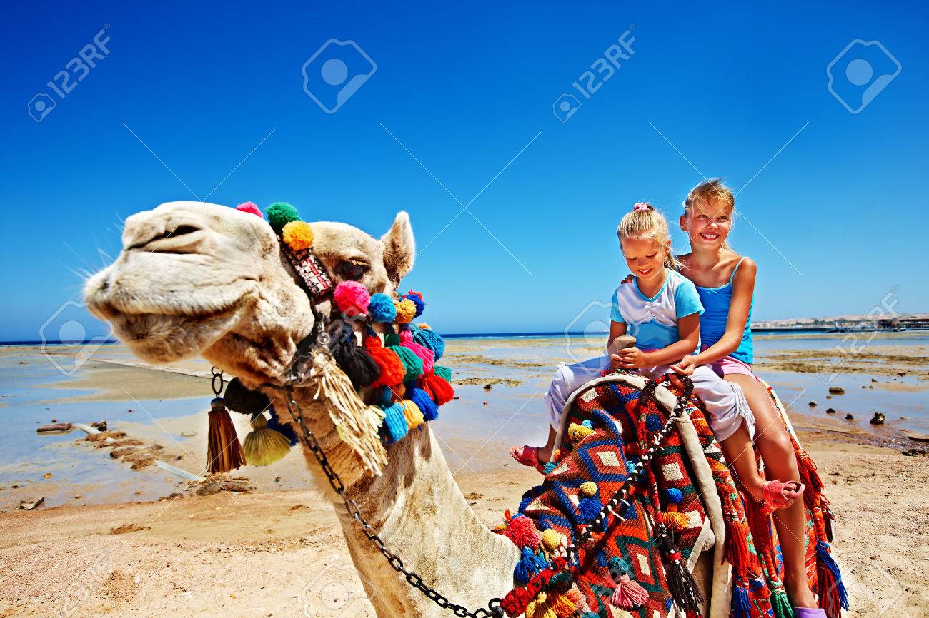 Tourists children riding camel on the beach of Egypt. Sharpness on a camel. - 29177833 Tourists children riding camel on the beach of Egypt. Sharpness on a camel. - 29177833