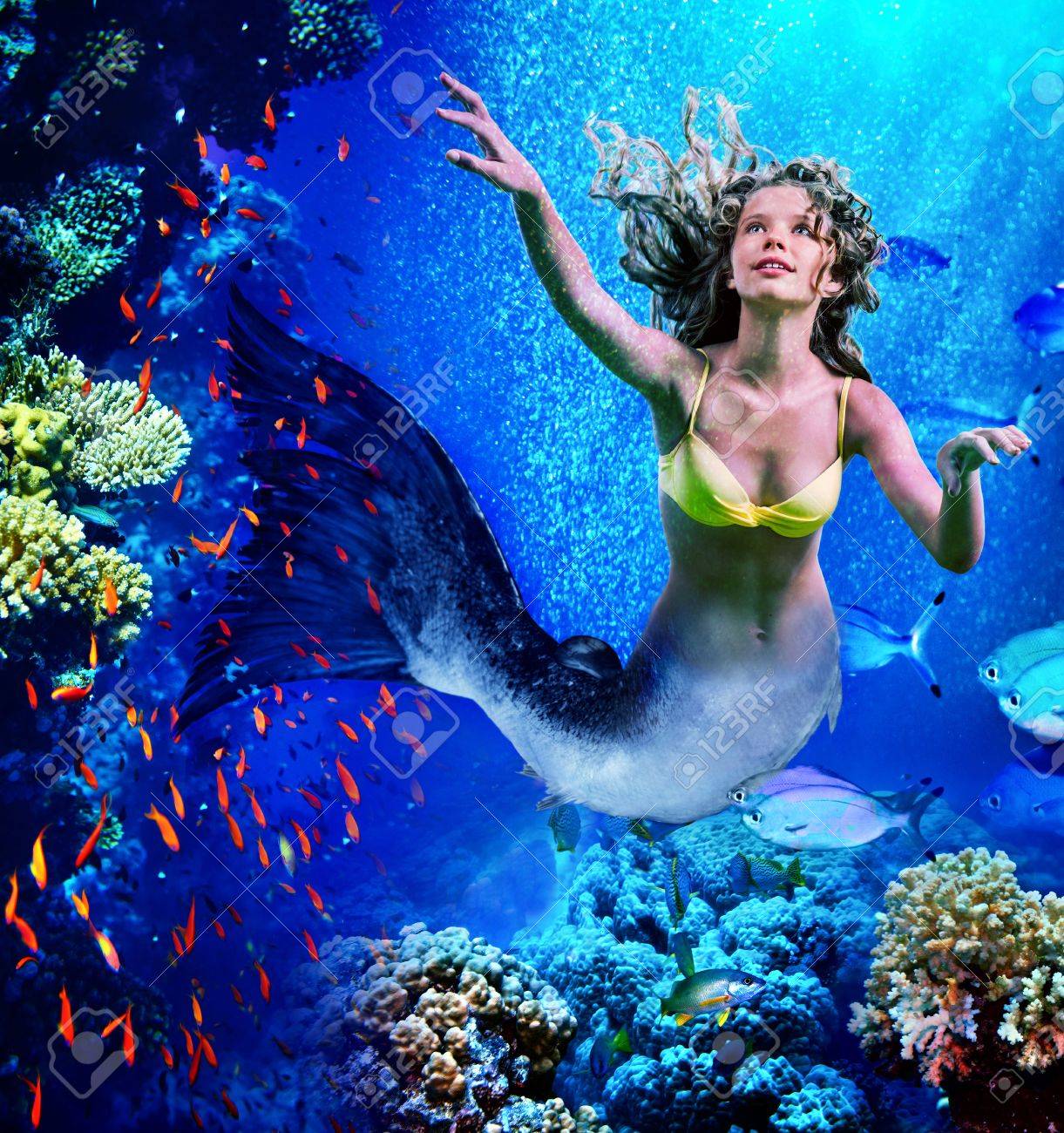珊瑚礁魚類を水中のダイビング人魚の女の子 の写真素材 画像素材 Image
