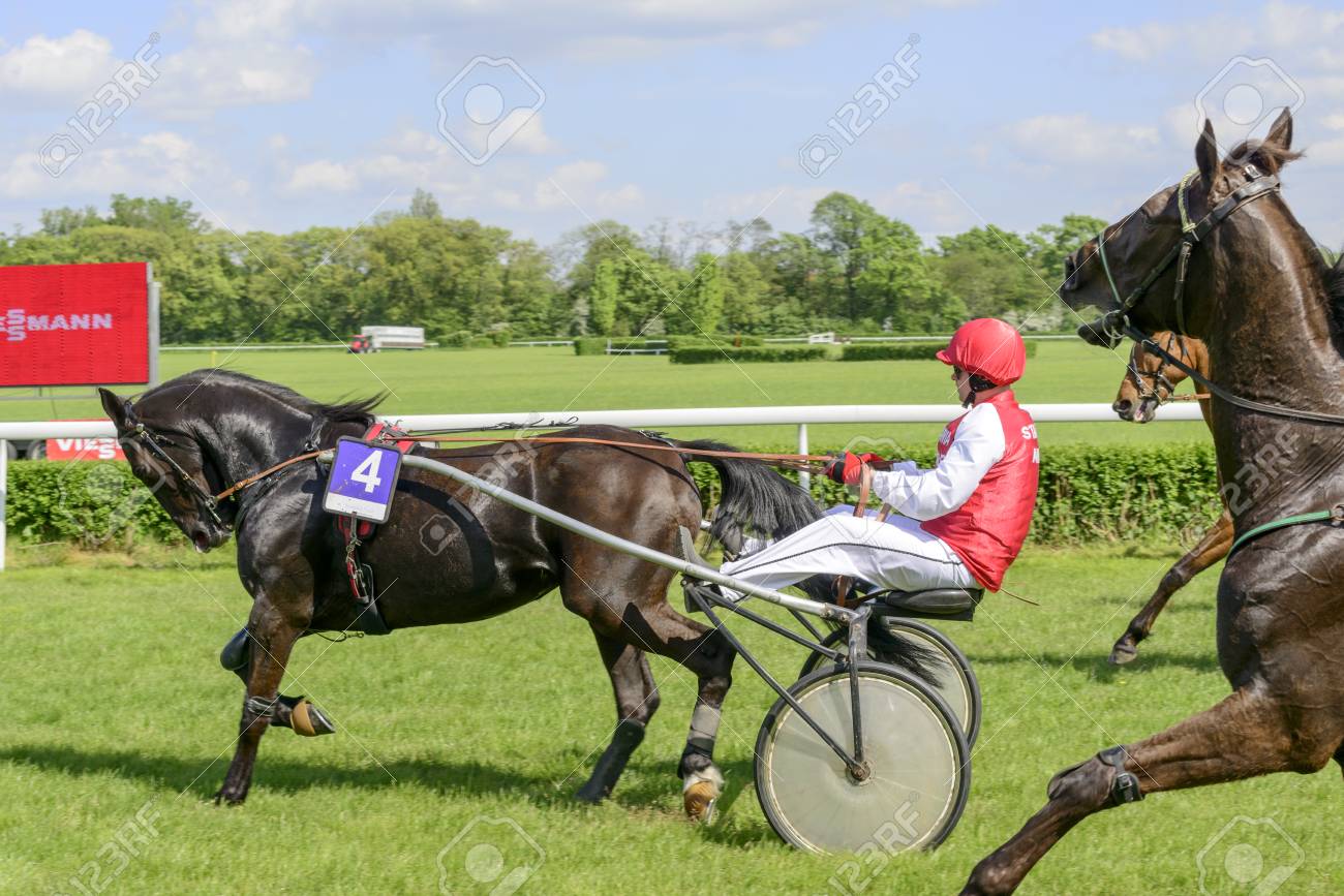 trotteur de course