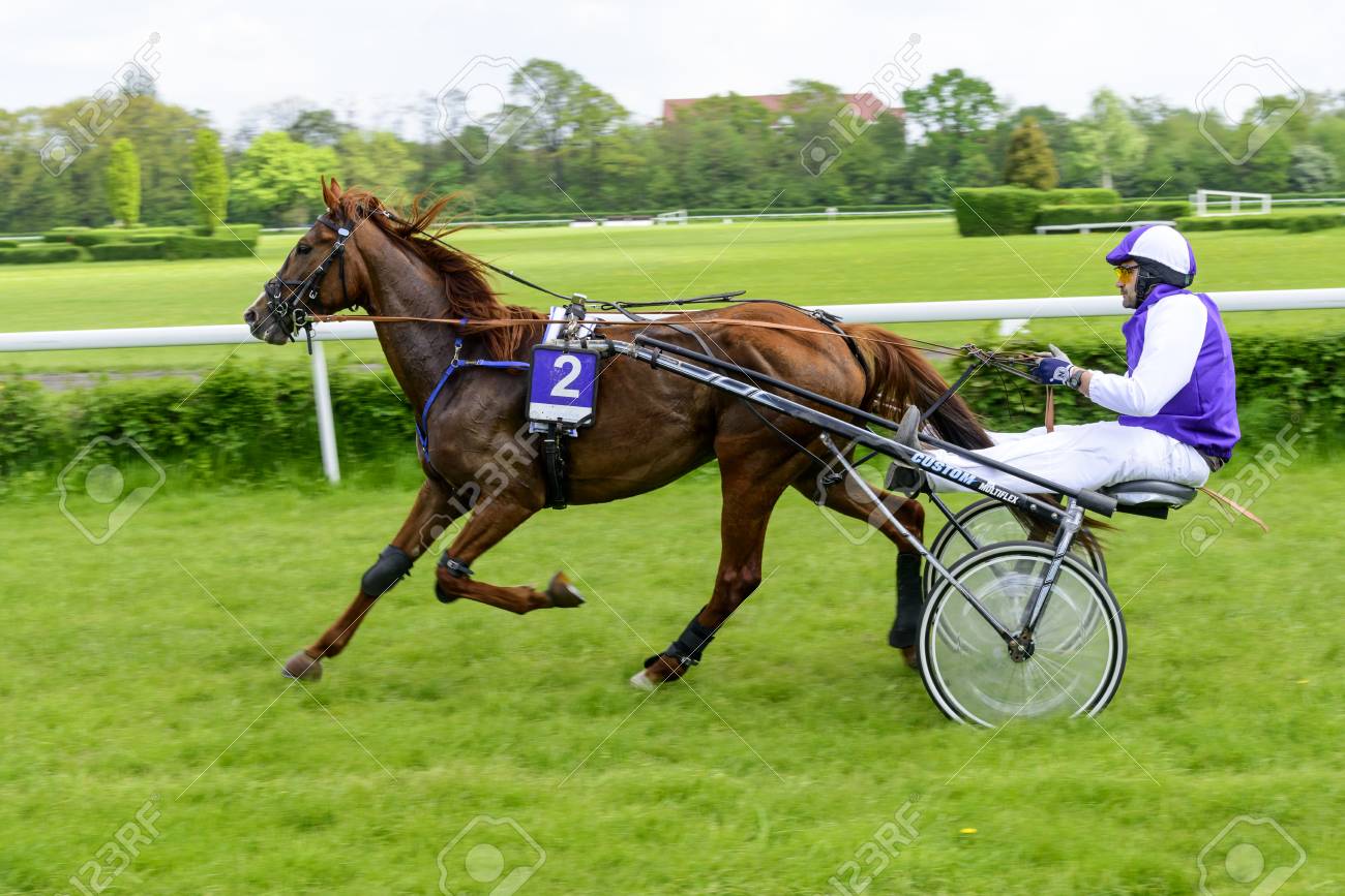 trotteur de course
