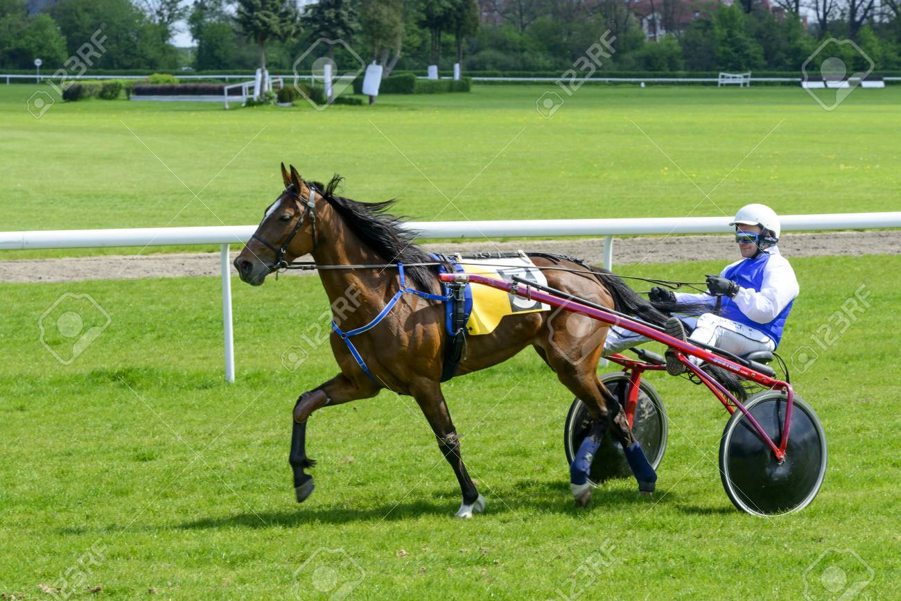 trotteur de course